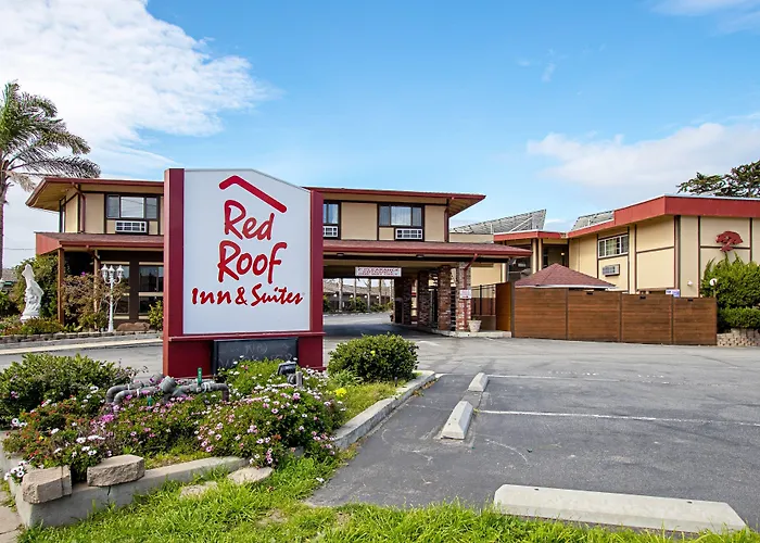 Family Hotel: Red Roof Inn & Suites Monterey
